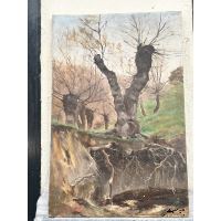Óleo sobre lienzo Árboles Raíces · Ref.: 2314